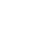 phone-icon